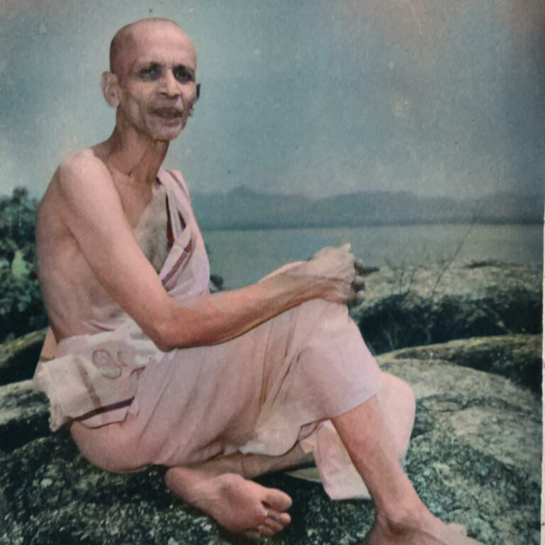 Swami Chidanananda saraswati