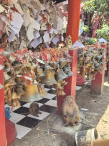 Golu Devta Temple6.wep