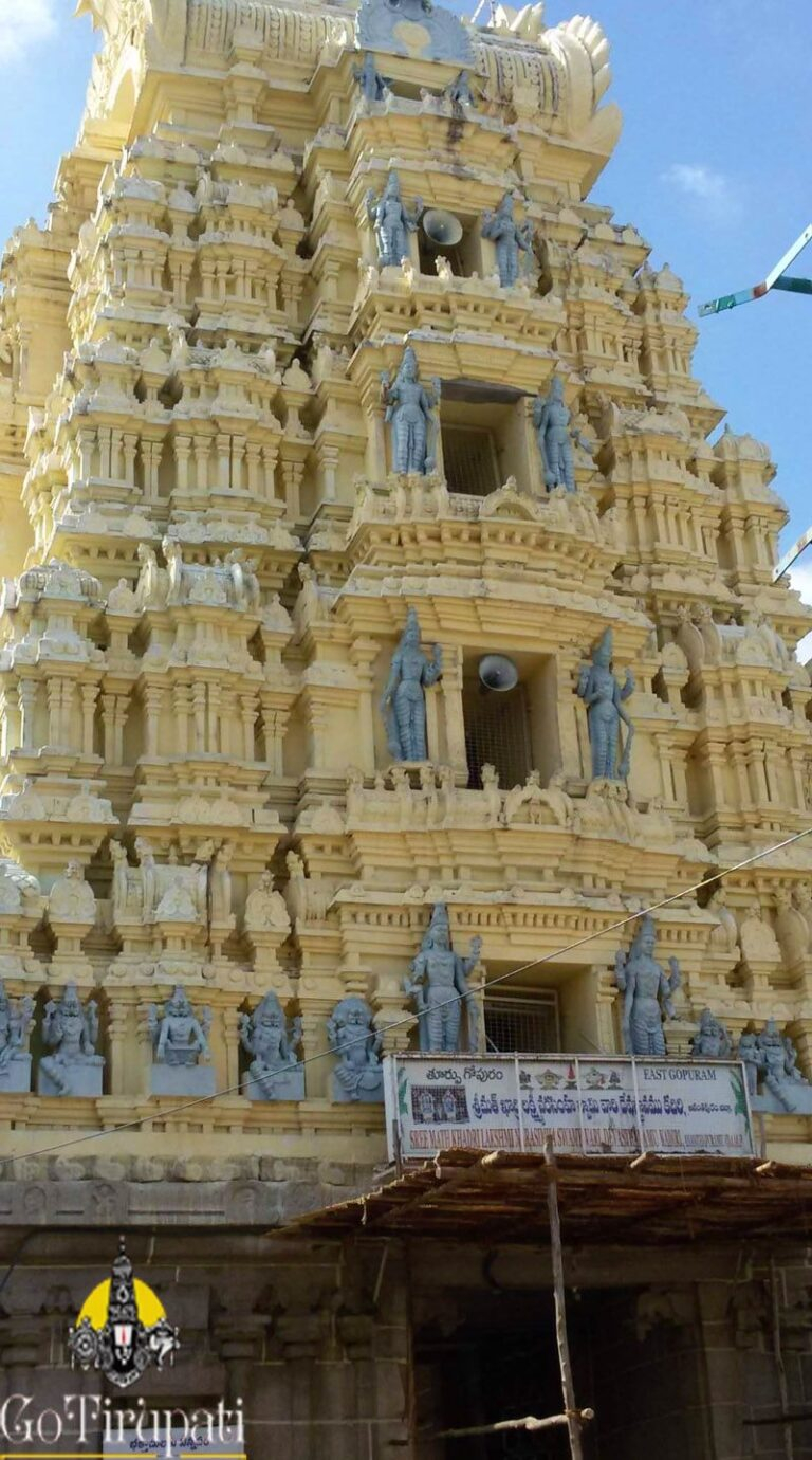 South Indian temple tower picture