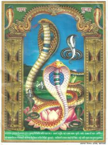 Sacred cobra deities worshipped during Nag Panchami