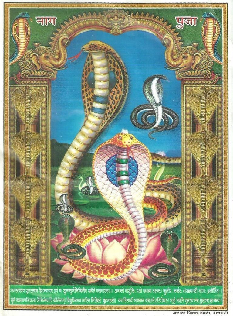 Sacred cobra deities worshipped during Nag Panchami