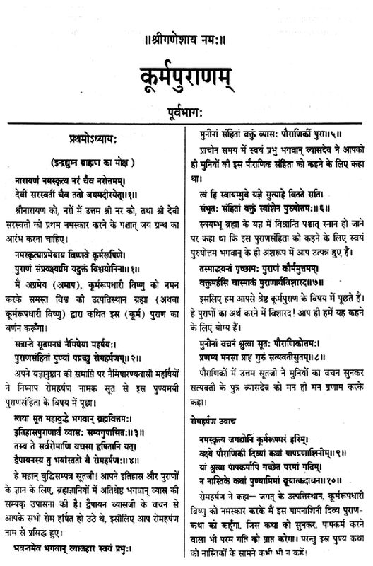 kurma