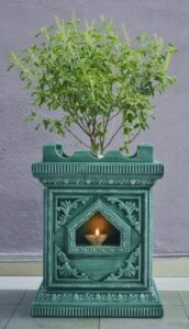 Holy Tulsi plant in decorative sacred planter