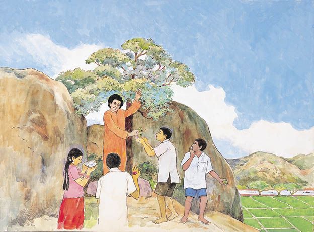 Shri Sathya Sai Baba divine darshan peaceful picture