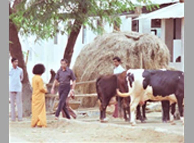 Bhagwan Shri Sathya Sai Baba sacred divine portrait image