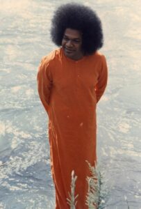 Hundreds of Thousands of Angels,The Essence of Buddha's Teachings