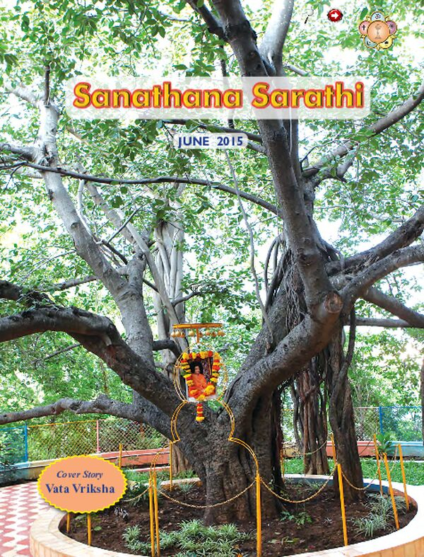 SSJune2015