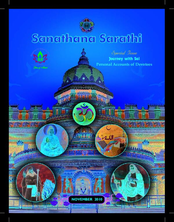 SSNov2010