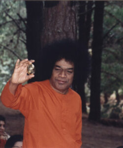 Shri Sathya Sai Baba divine temple service image