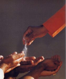 Bhagwan Shri Sathya Sai Baba sacred divine portrait image