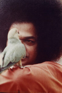 Shri Sathya Sai Baba divine smiling sacred portrait