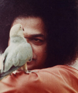 Shri Sathya Sai Baba divine smiling sacred portrait