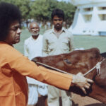 Bhagwan Shri Sathya Sai Baba divine temple gathering photo