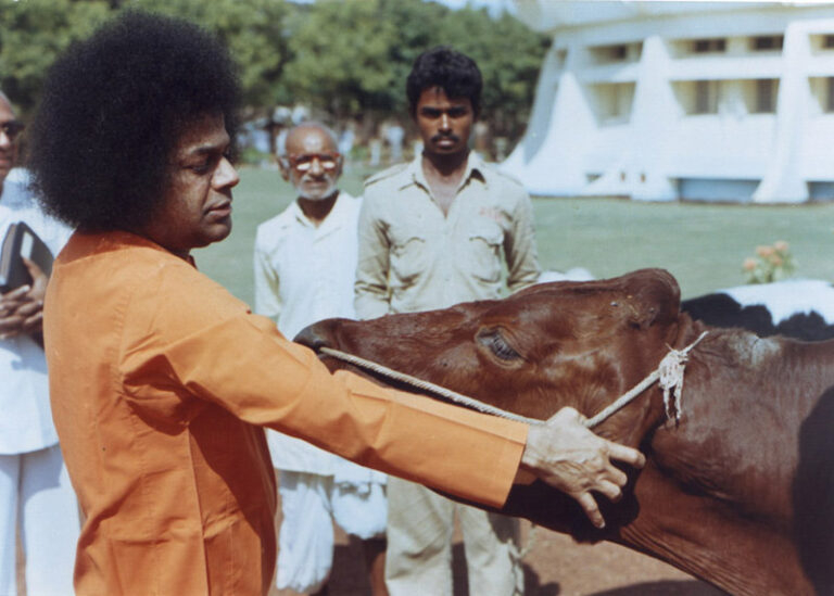 Bhagwan Shri Sathya Sai Baba divine temple gathering photo
