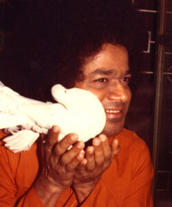 Shri Sathya Sai Baba orange robe sacred portrait image