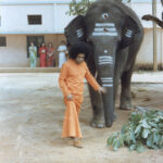 Bhagwan Shri Sathya Sai Baba sacred divine portrait image