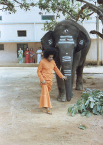 Bhagwan Shri Sathya Sai Baba sacred divine portrait image