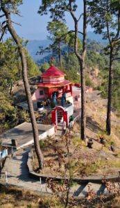 Hilltop Hindu temple amidst pine forests image