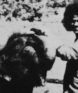 Shri Sathya Sai Baba divine spiritual teaching picture