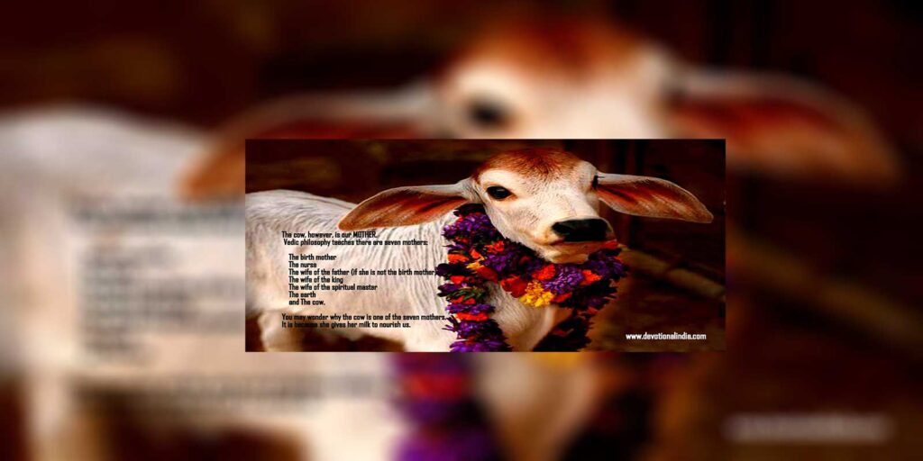 A Rose for the Lord 54 img3 1