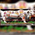 Sacred Kamadhenu divine cow illustration image