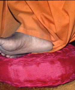 lotus feet of lord sri sathya sai baba old rare collection galllery 19