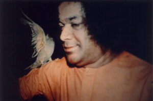 Bhagwan Shri Sathya Sai Baba tranquil ashram portrait photo