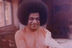 Shri Sathya Sai Baba divine darshan radiant picture