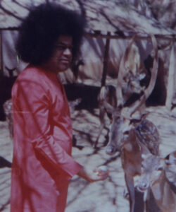 Bhagwan Shri Sathya Sai Baba divine peaceful portrait image