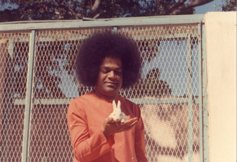 Bhagwan Shri Sathya Sai Baba sacred peaceful portrait photo, Past Students