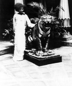 Bhagwan Shri Sathya Sai Baba tranquil spiritual portrait photo