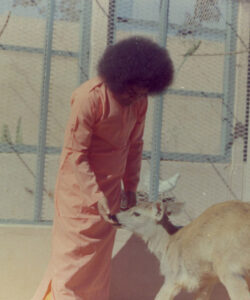 Shri Sathya Sai Baba uplifting humanity through faith harmony devotion picture