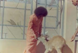 Shri Sathya Sai Baba uplifting humanity through faith harmony devotion picture