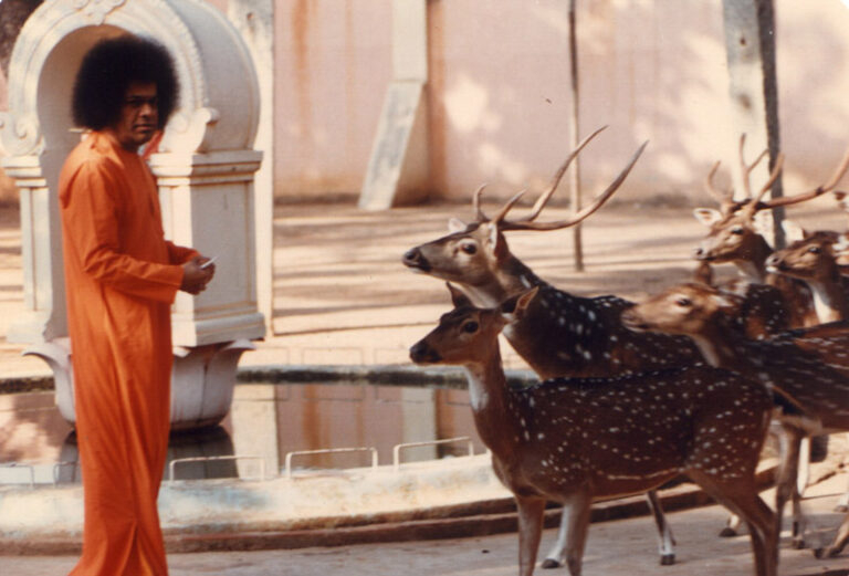 sri sathya sai baba Man in orange robe with deer image, Syllabus
