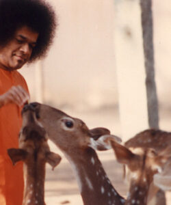 Shri Sathya Sai Baba sacred devotional bhajan image