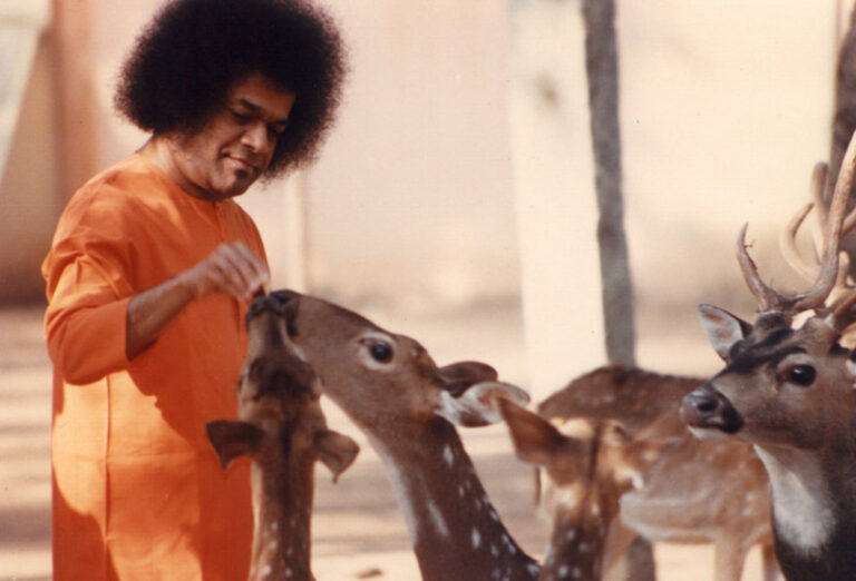 Shri Sathya Sai Baba sacred devotional bhajan image