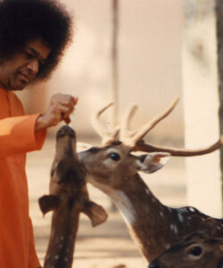 Bhagwan Shri Sathya Sai Baba divine temple gathering photo