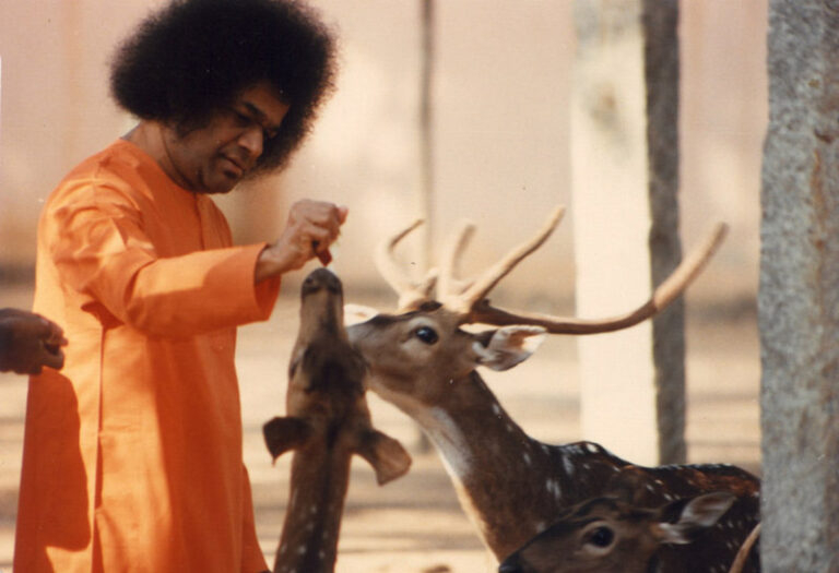 Bhagavan Sri Sathya Sai Baba Speaks on Purity
