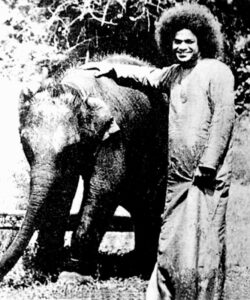 sri-sathya-sai-baba Person with an elephant in nature.