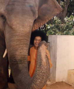 Bhagwan Shri Sathya Sai Baba spiritual discourse portrait picture