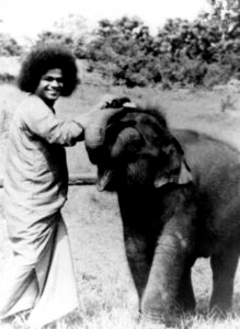 Shri Sathya Sai Baba sacred radiant divine image
