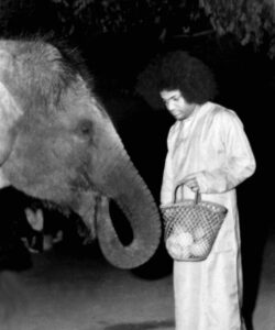 Bhagwan Shri Sathya Sai Baba serene ashram portrait photo