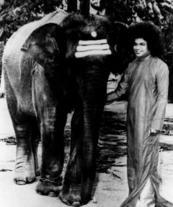 Shri Sathya Sai Baba divine blessing spiritual picture