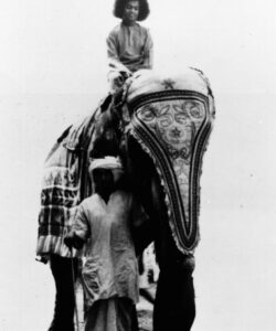 Bhagwan Shri Sathya Sai Baba divine darshan portrait image