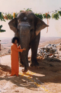 Shri Sathya Sai Baba sacred compassionate darshan image