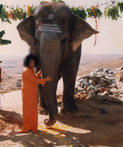 Shri Sathya Sai Baba sacred compassionate darshan image