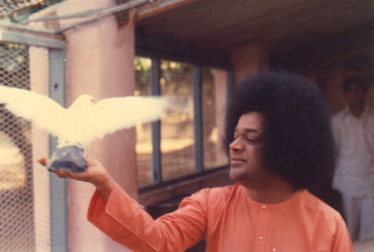 Sweet Sai Sweet Self