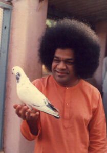 Shri Sathya Sai Baba tranquil divine temple photo