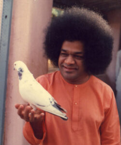 Shri Sathya Sai Baba tranquil divine temple photo