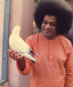 Bhagwan Shri Sathya Sai Baba sacred radiant portrait image